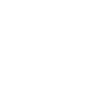 logo altamira