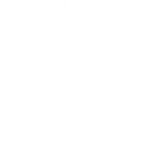Importadora Altamira